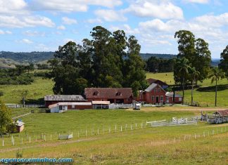 Roteiro por Criúva e Mulada - Fazenda Bertussi