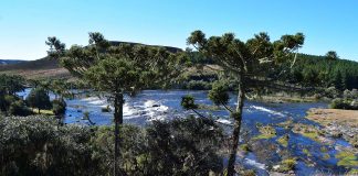 Paisagem da Serra Gaúcha