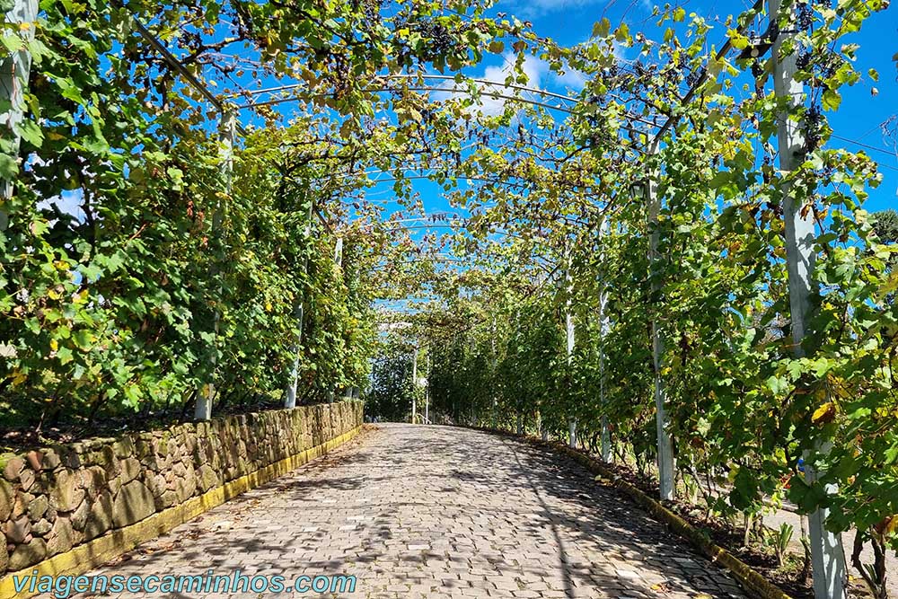 Túnel da Uva - Otávio Rocha