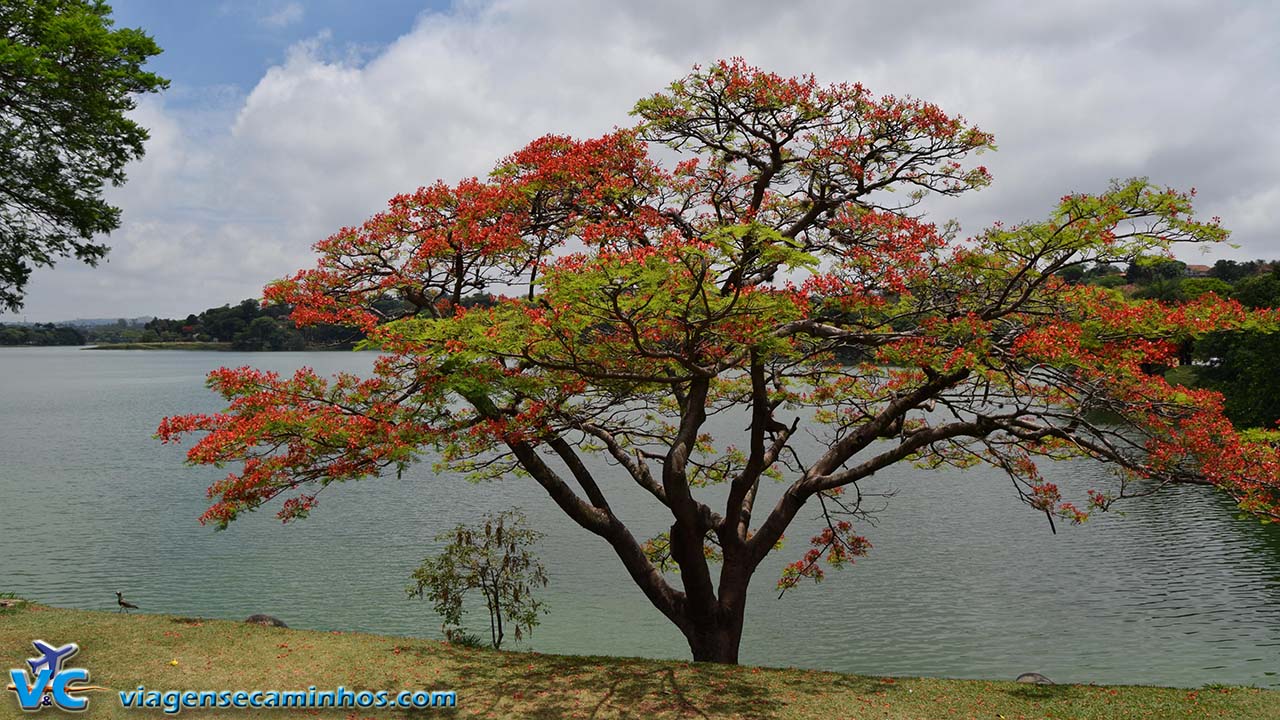 Lagoa da Pampulha - Belo Horizonte