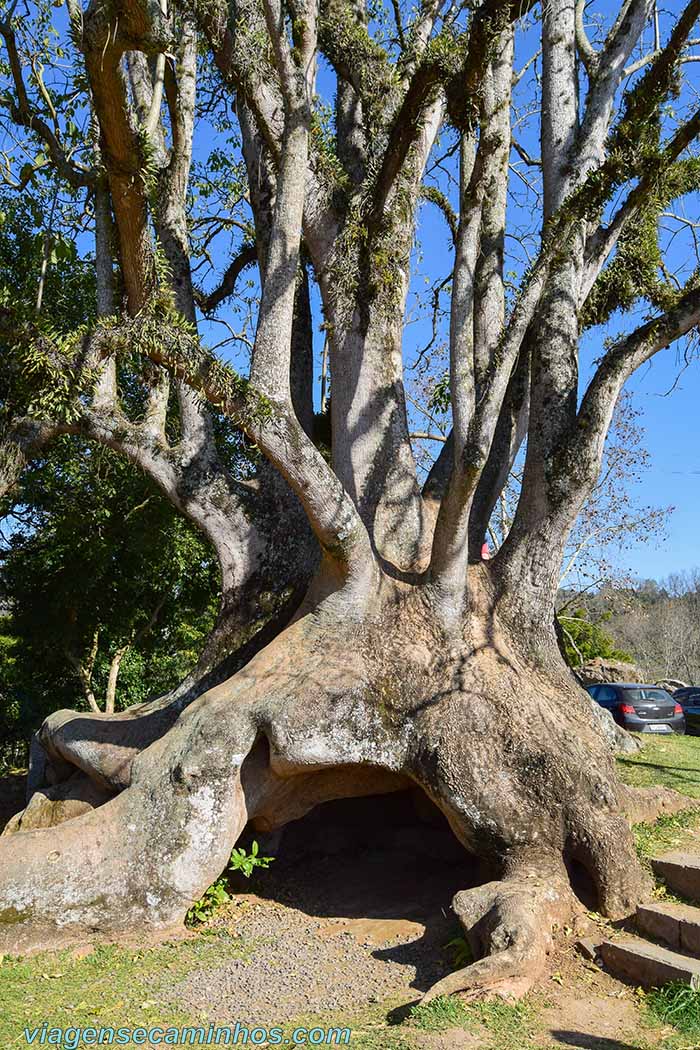 Embu na Casa Nona Ludia - Caminhos de Pedra