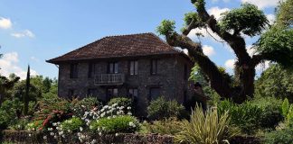 Caminhos de Pedra