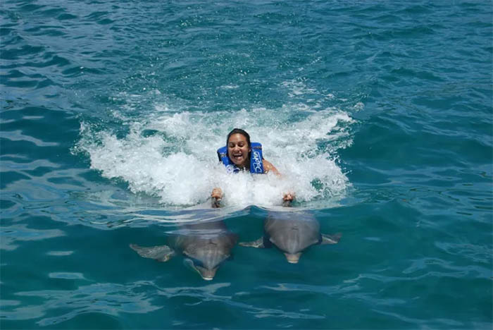 Nadar com golfinhos em Punta Cana