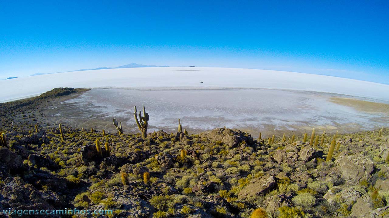 Ilha Pia Pia - Salar de Uyuni