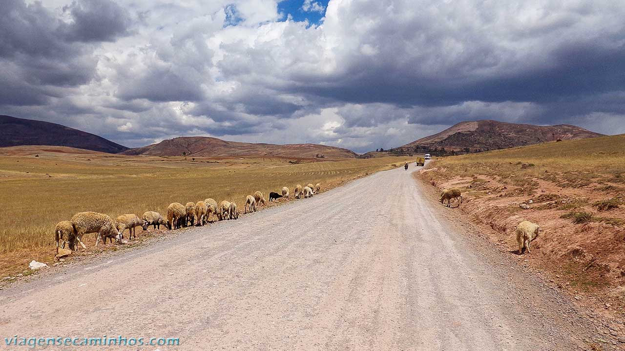 Estrada para Salinas de Maras