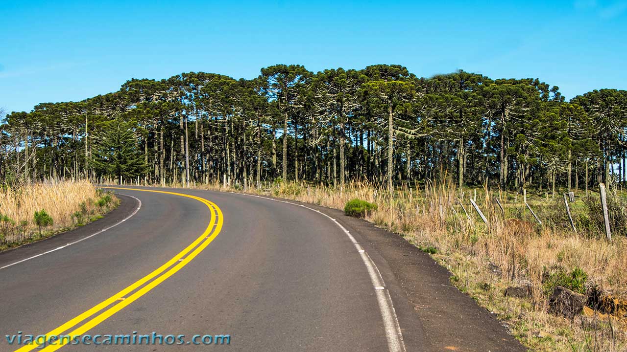 Estrada na Serra Catarinense