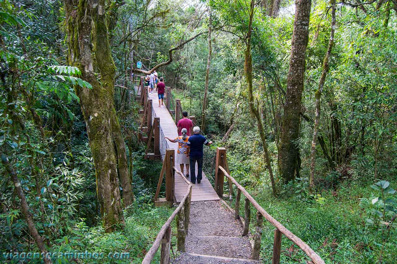 Trilha do Salto São João - Prudentópolis