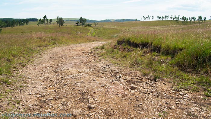 Estrada do Cânion Amola Faca