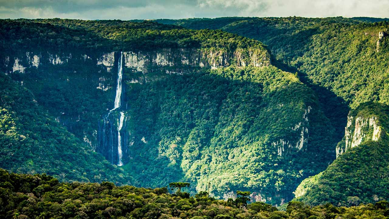 Cascata da Água Branca - Maquiné