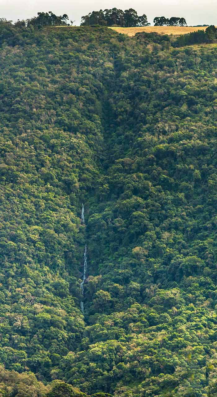 Cascata do Risco Verde - São Francisco de Paula