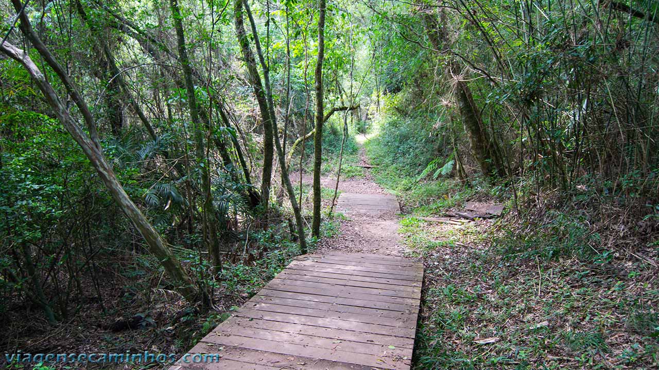 Trilha da Cachoeira da Mariquinha