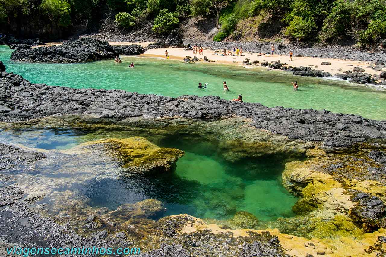 O que fazer em Fernando de Noronha: Baía dos Porcos