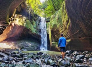 Cascata das Andorinhas – Rolante: Como chegar e como é a trilha Cascata das Andorinhas - Rolante