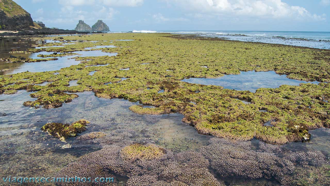 Praia Boldró - Fernando de Noronha