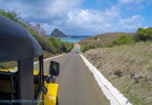 Ilha tour Fernando de Noronha