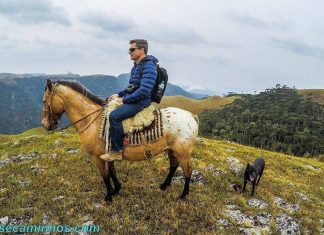 Passeio a cavalo na fazenda Morro da Cruzinha - Ausentes