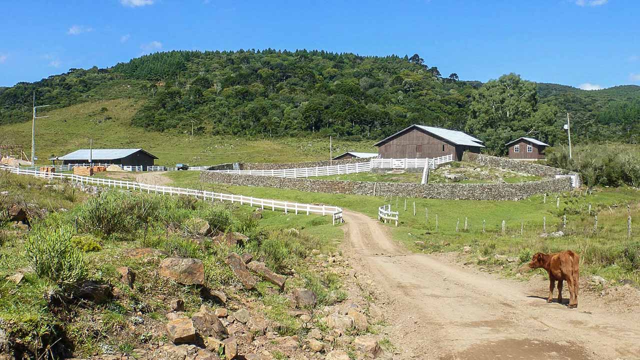 Fazenda Santa Cândida