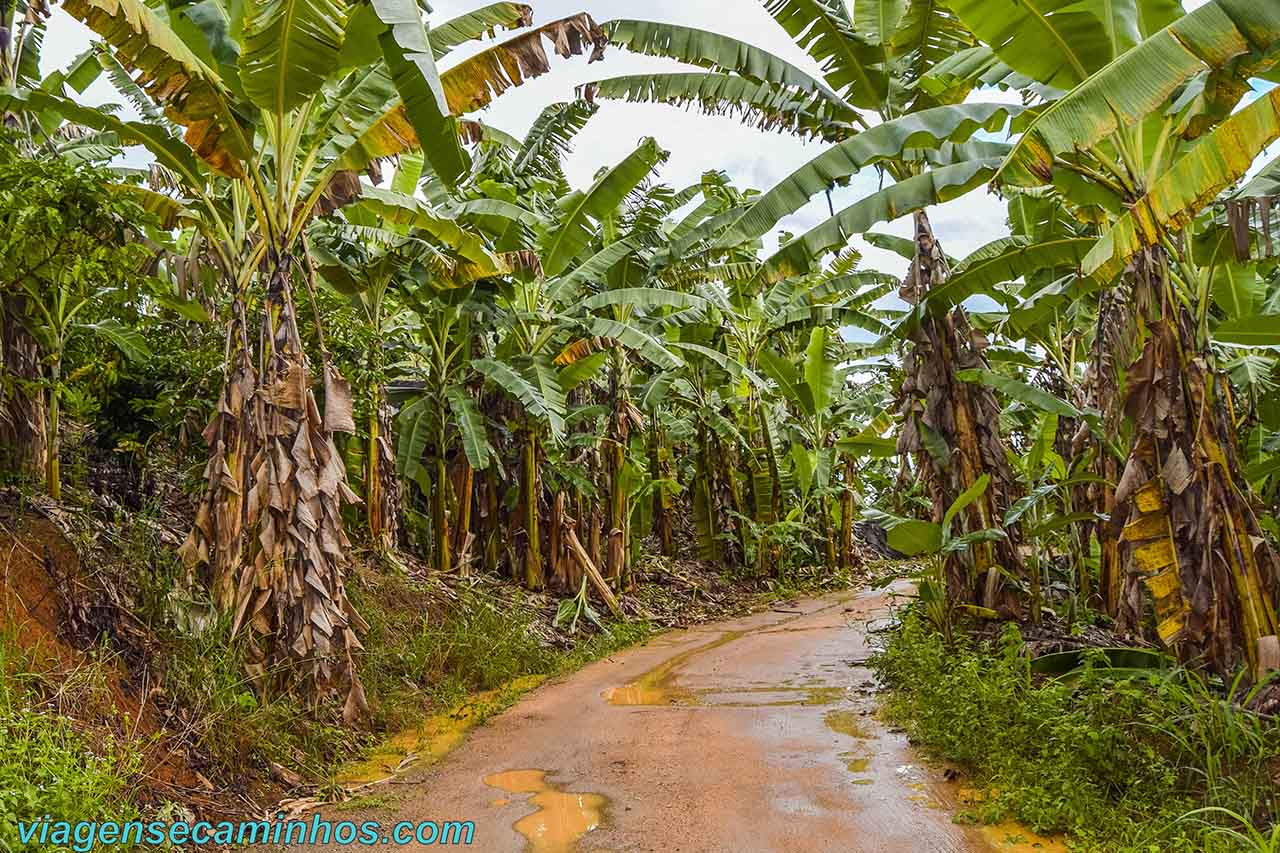 Estrada de acesso à Pedra do Frade e a Freira