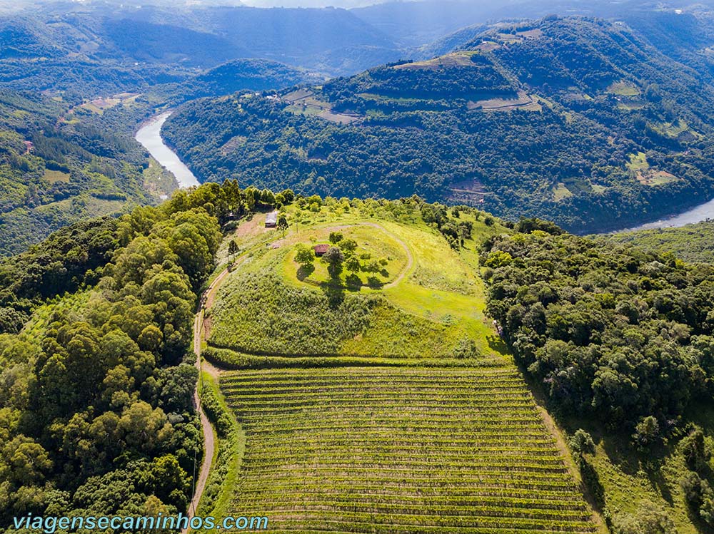 Vinícola Monte Santana - Caxias do Sul