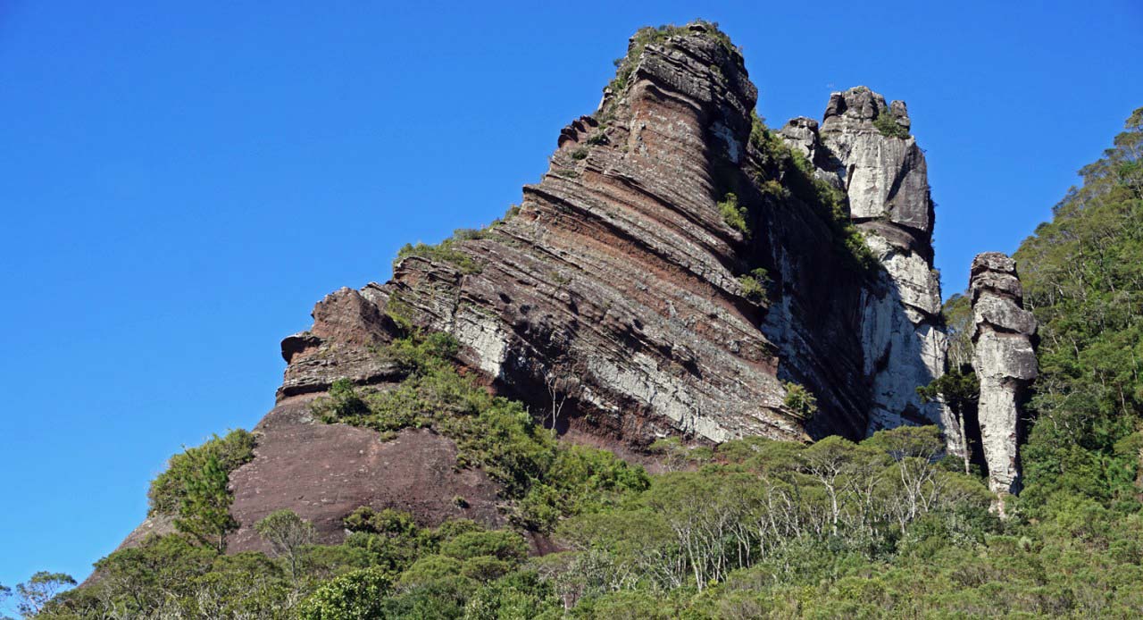 Pinheiro de Pedra - Alfredo Wagner