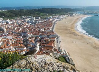 Nazaré - Portugal