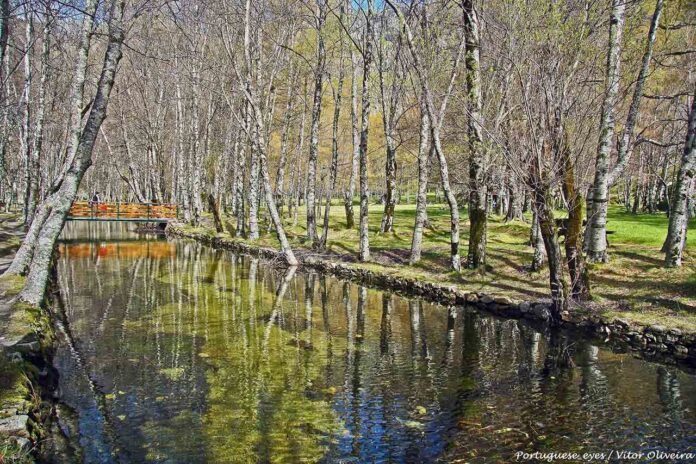 Serra da Estrela Portugal: Mapa, dicas, atrações - Viagens e Caminhos