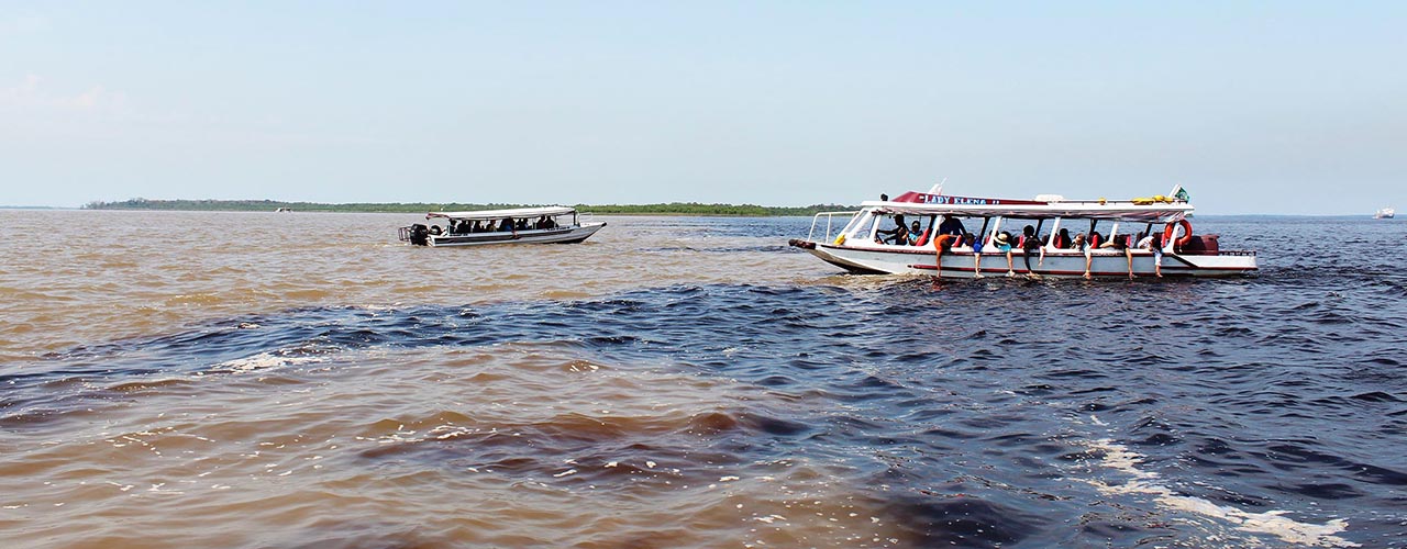 Amazonas