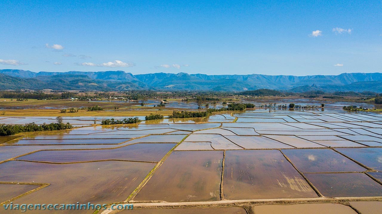 Plantação de arroz em Timbé do Sul - SC