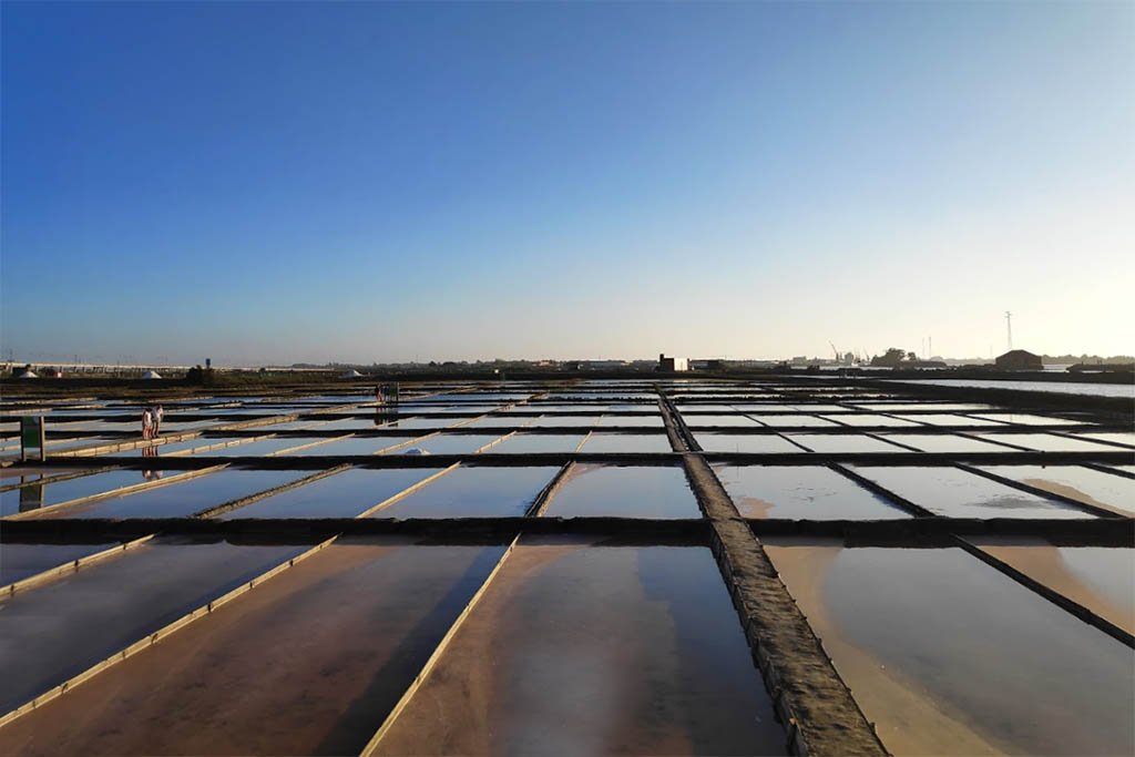 Salinas de Aveiro