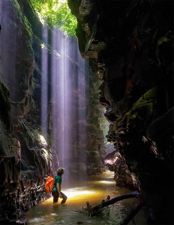 O que fazer em Bom Retiro