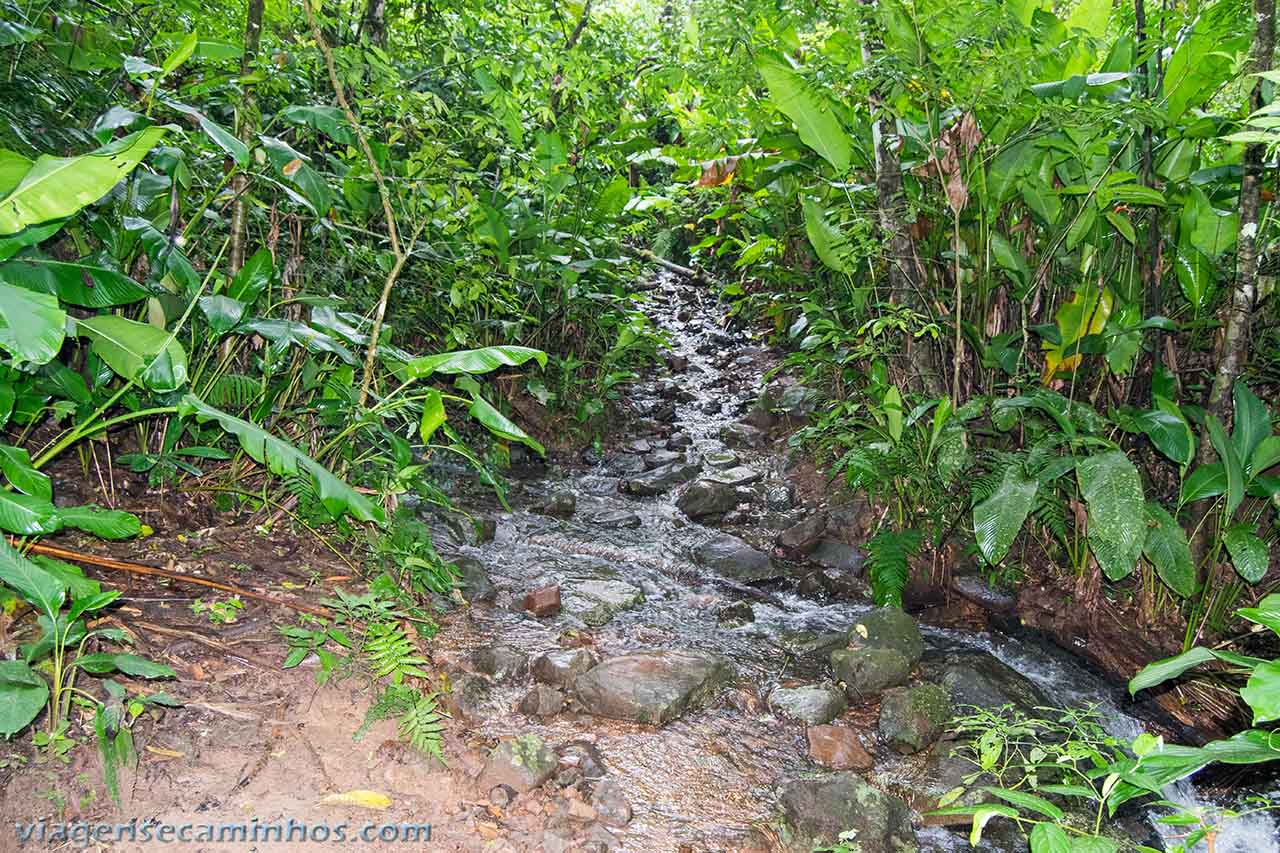 Trilha da Cachoeira do Cantão - Nova Veneza