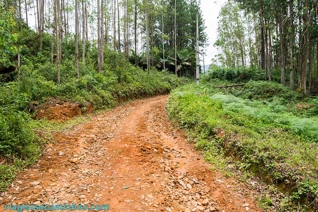 Estrada da trilha da Cachoeira das Bromélias - Nova Veneza