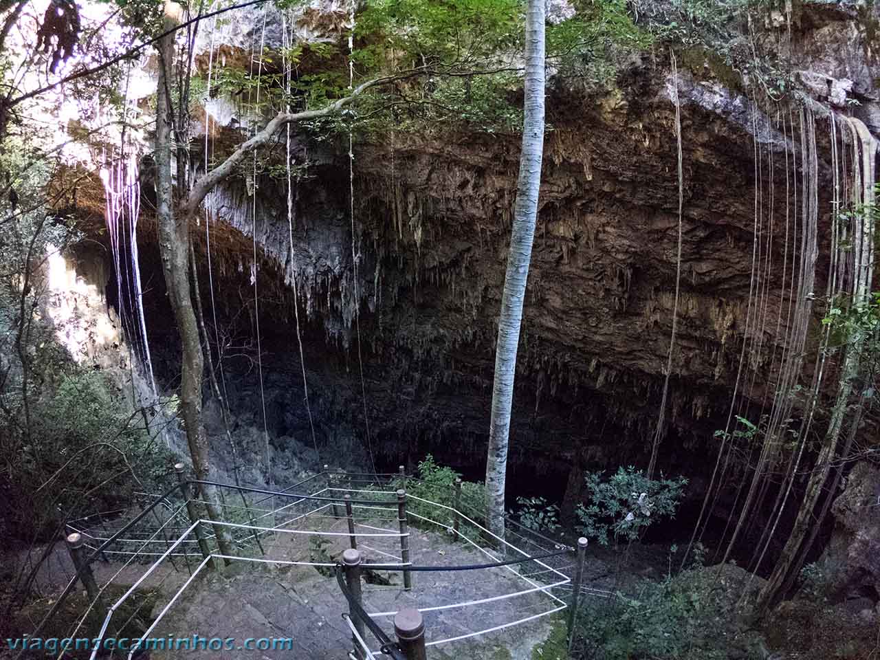 Entrada da Gruta do Lago Azul - Bonito