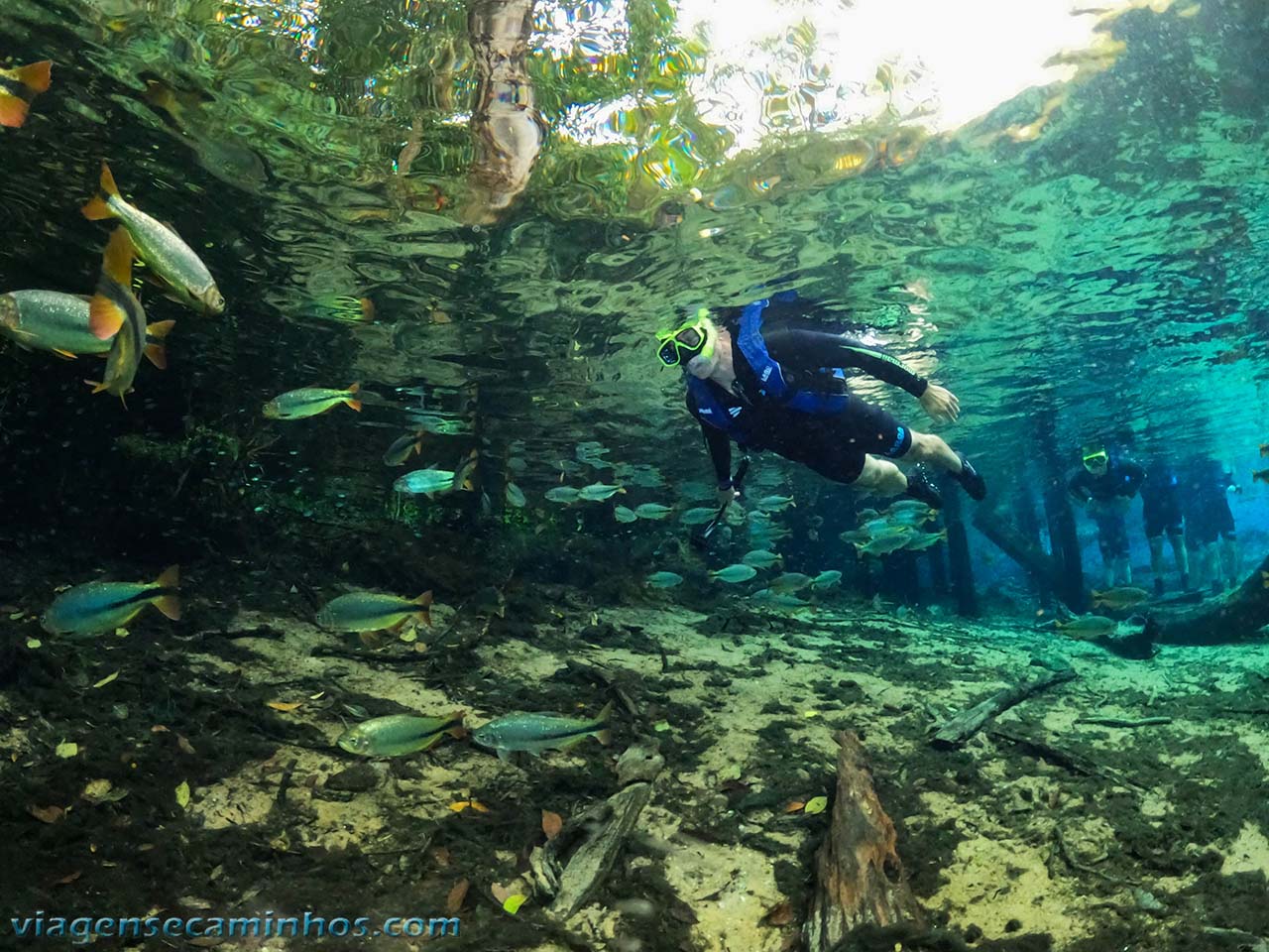 Flutuação Rio da Prata - Bonito MS