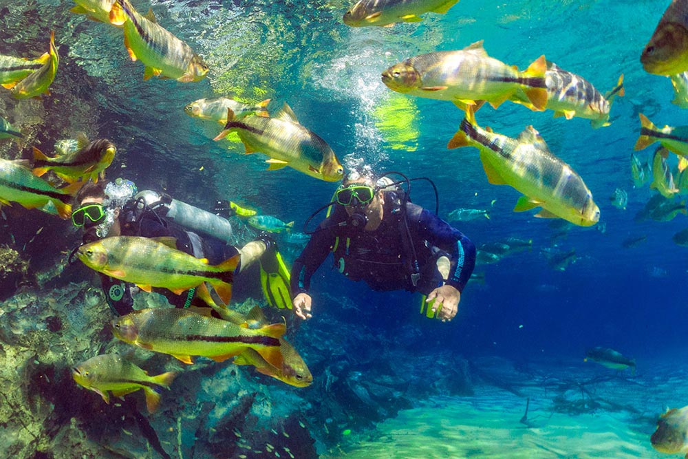 Bonito - Mergulho de cilindro no Rio da Prata