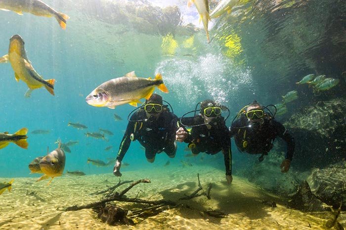 Mergulho com cilindro Rio da Prata