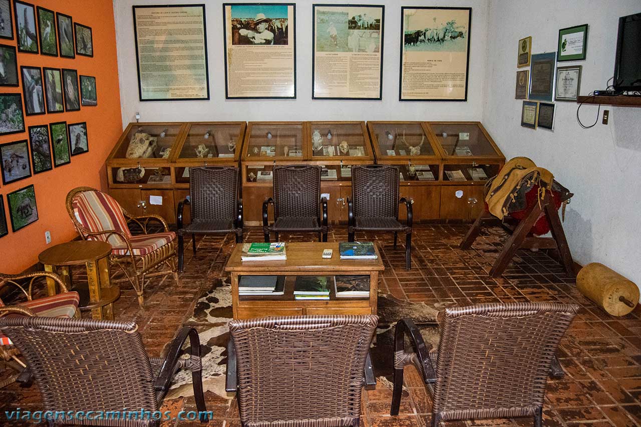 Museu da Fazenda San Francisco - Pantanal