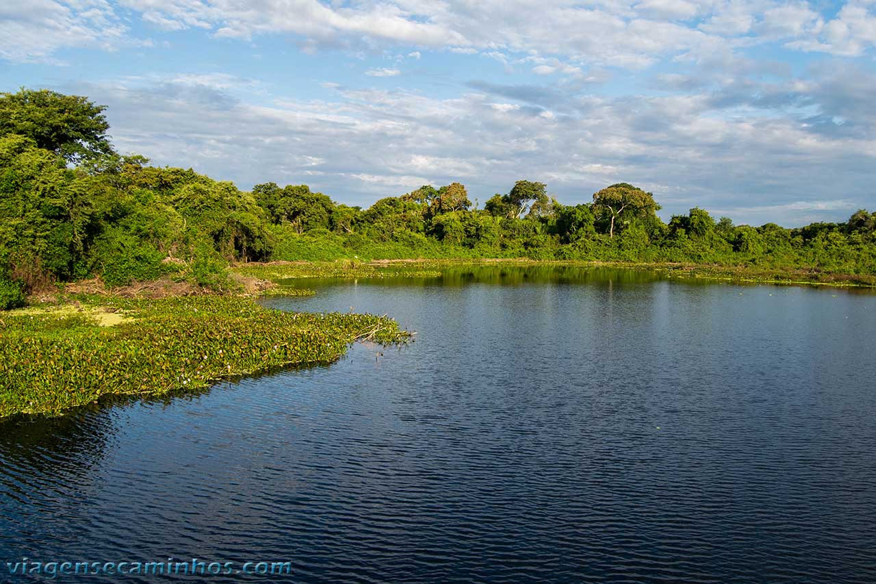 O Que Fazer no Pantanal? 17 Passeios e Atrações em 2023