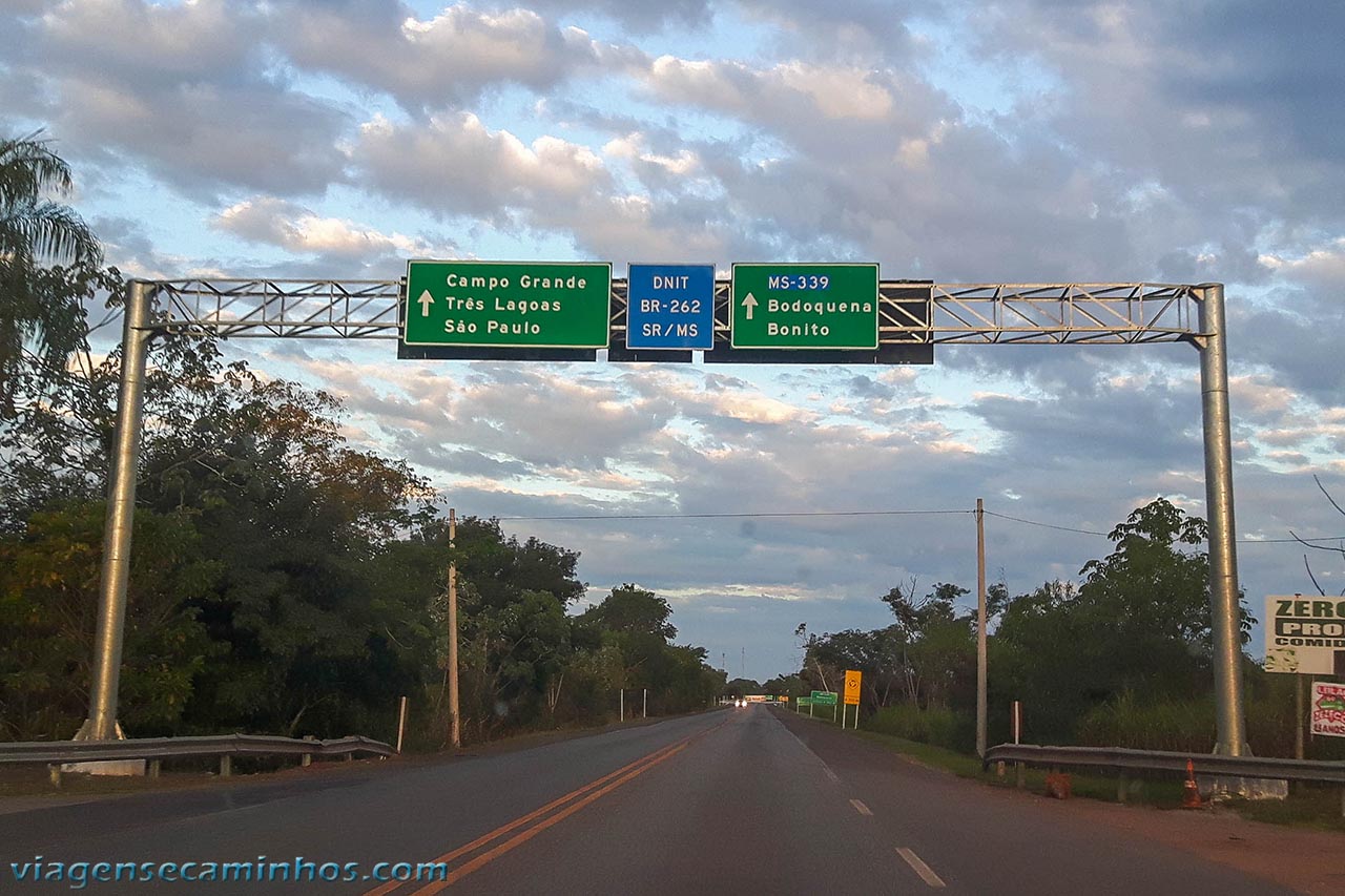 Passeio ao Pantanal saindo de Bonito