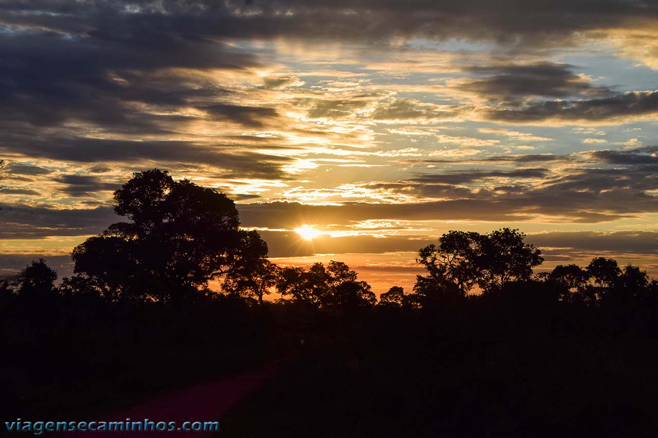 Pôr do Sol no Pantanal