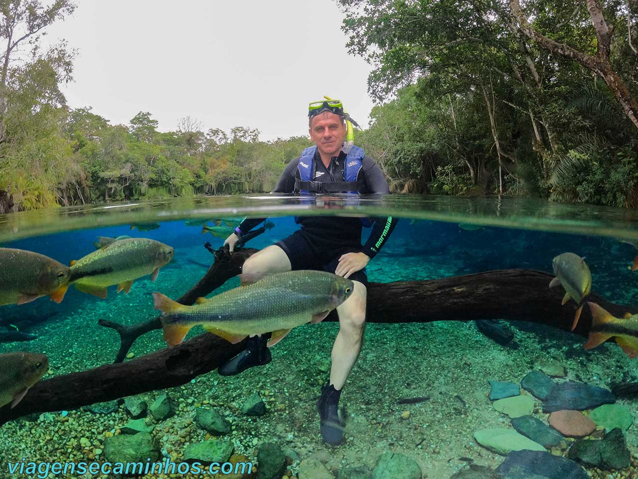 5 opções de passeio a cavalo para fazer no Pantanal do Mato Grosso do Sul