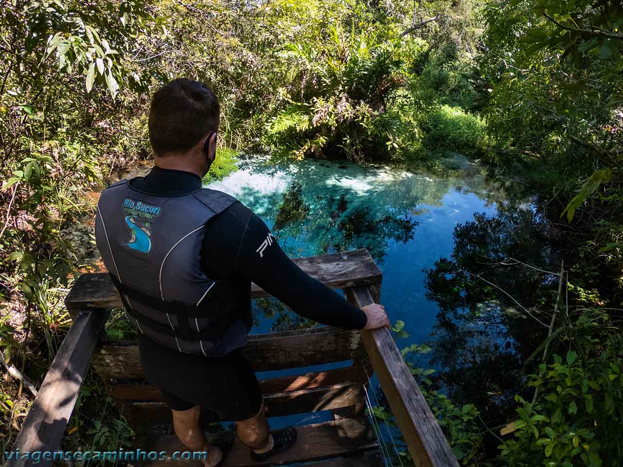 Nascente do Rio Sucuri - Bonito MS