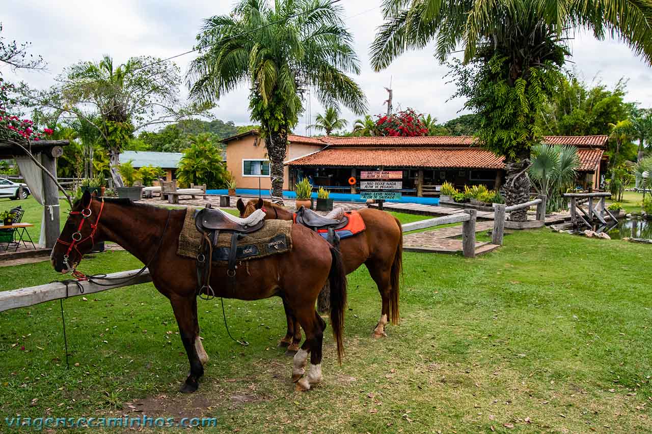 Passeio a cavalo na Fazenda Ceita Corê