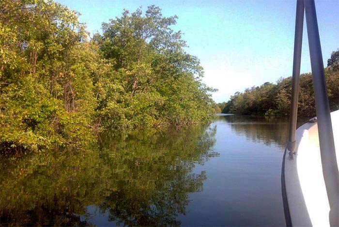 Passeio ao Delta do Parnaíba