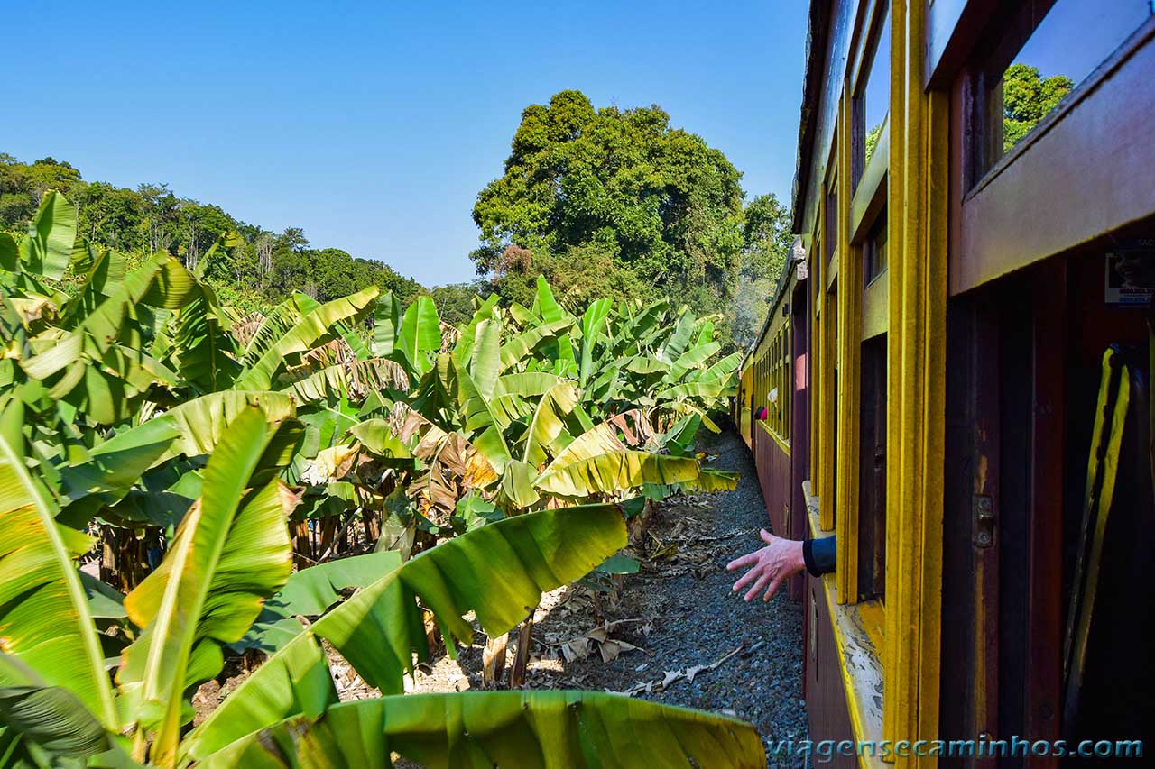 Passeio Trem da Serra do Mar