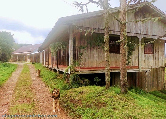 Fazenda dos Papagaios