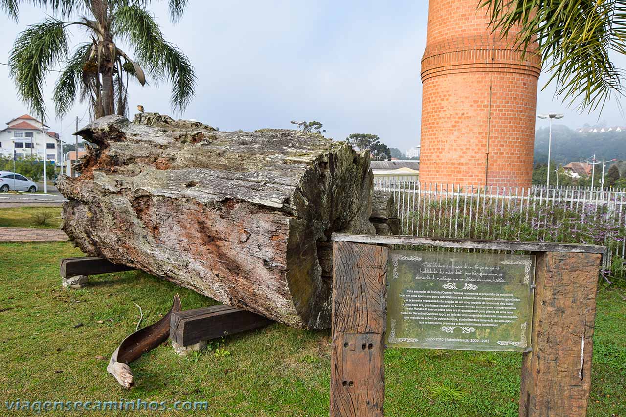 Monumento da Imbuia - Rio Negrinho