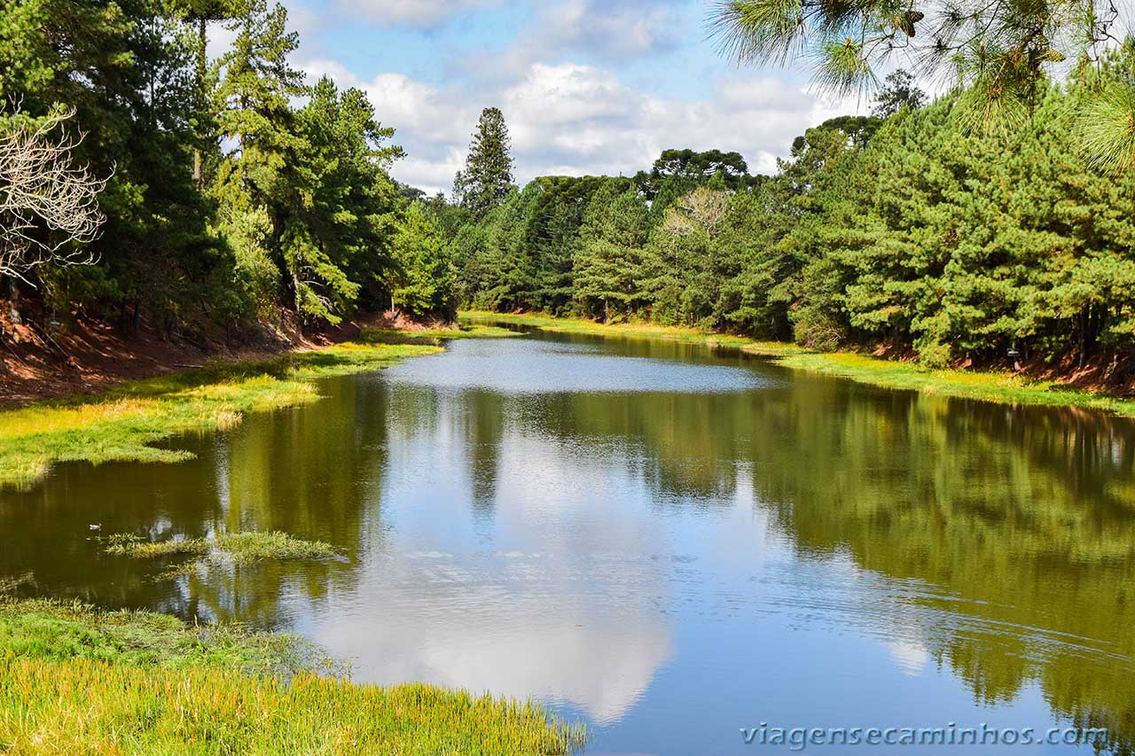 Lago Fazenda Evaristo - Rio Negrinho