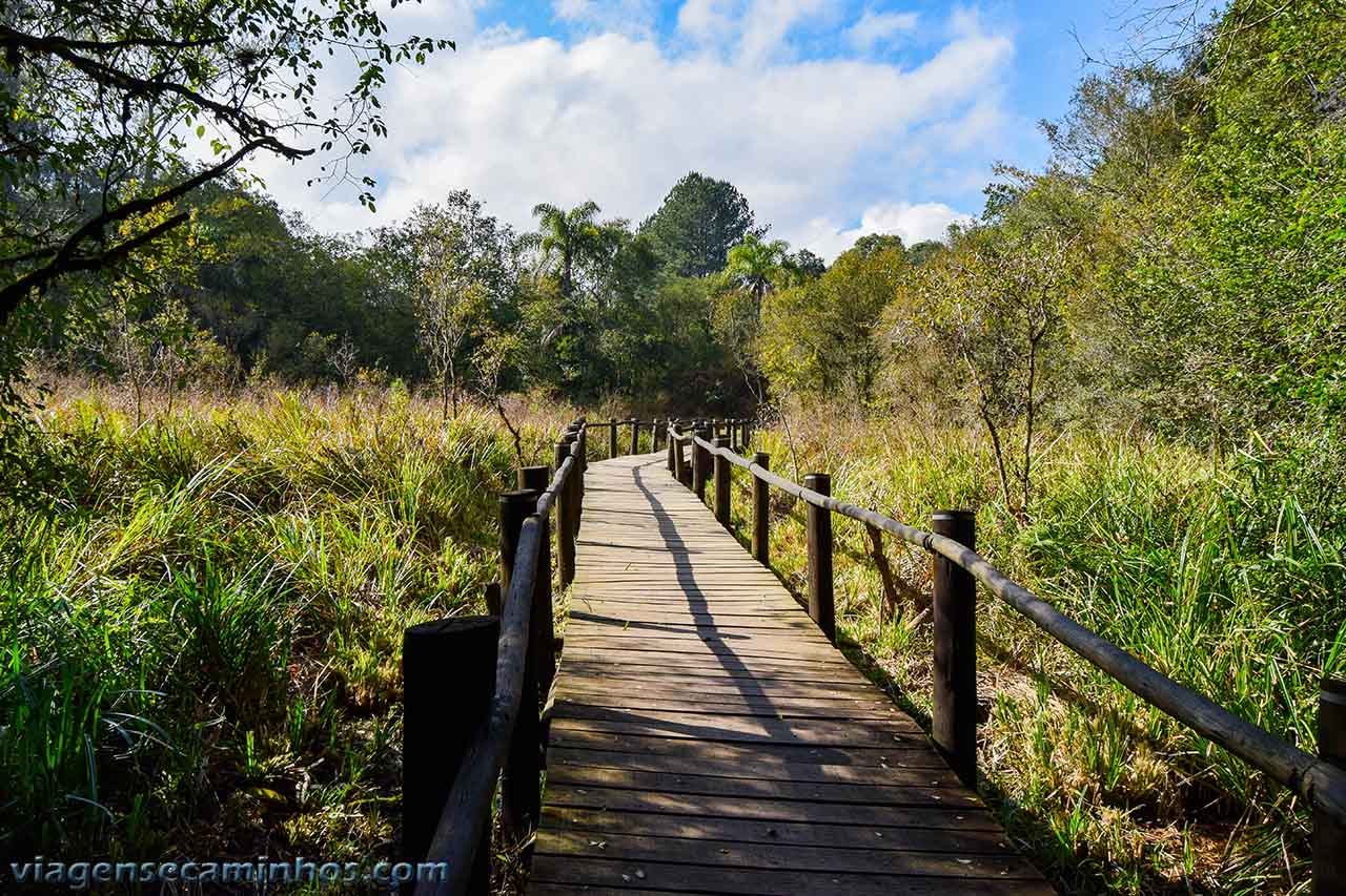 Parque Paul Harris - Rio Negrinho