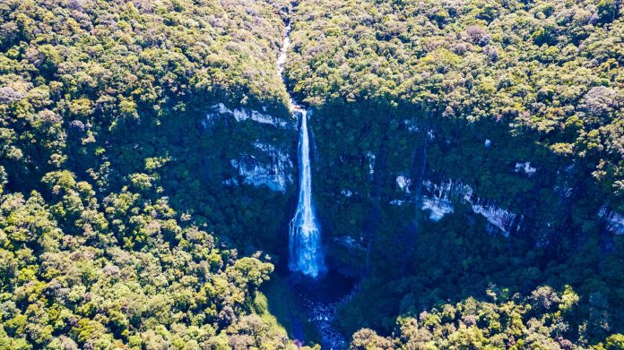 Cascata da Pedra Branca - Três Forquilhas